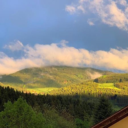 Black Forest Appartement - Brandenkopfblick Zell am Harmersbach Eksteriør billede