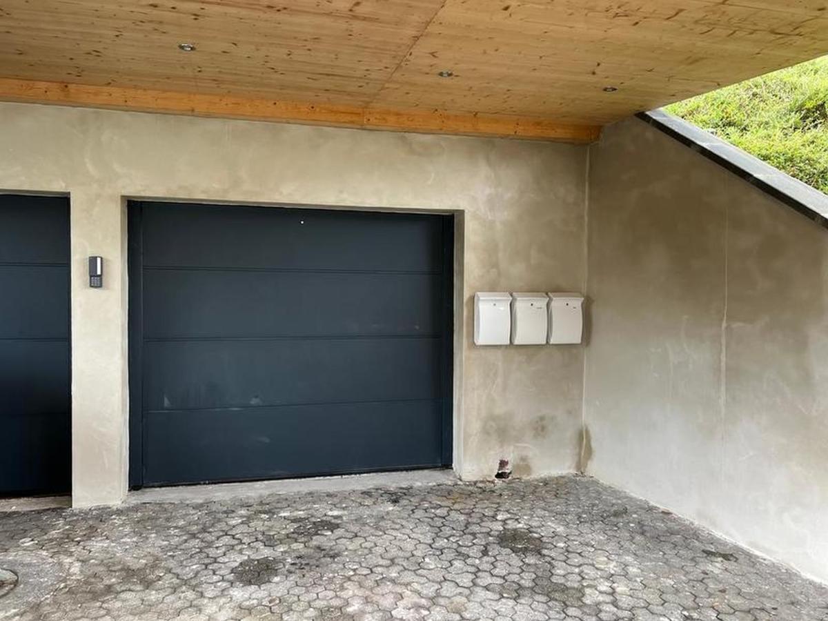 Black Forest Appartement - Brandenkopfblick Zell am Harmersbach Eksteriør billede