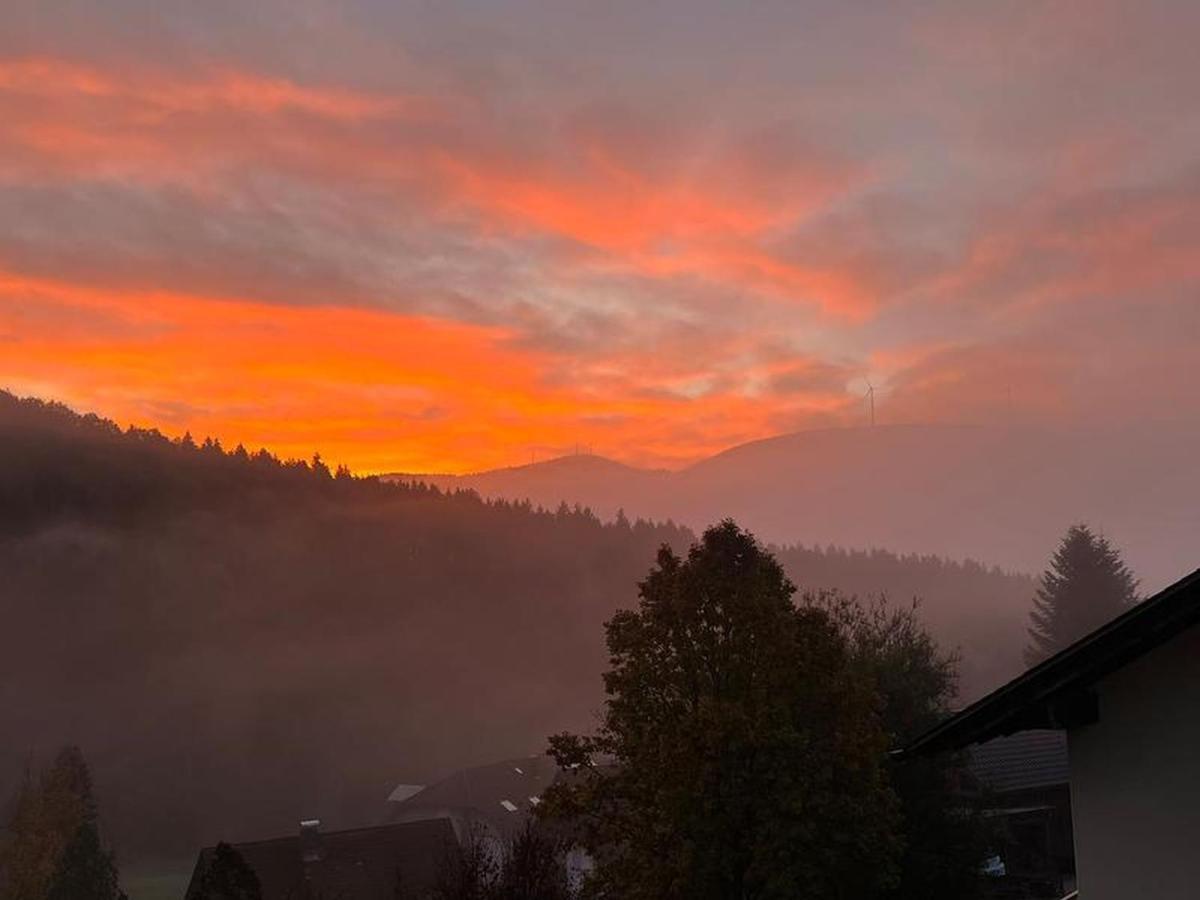 Black Forest Appartement - Brandenkopfblick Zell am Harmersbach Eksteriør billede