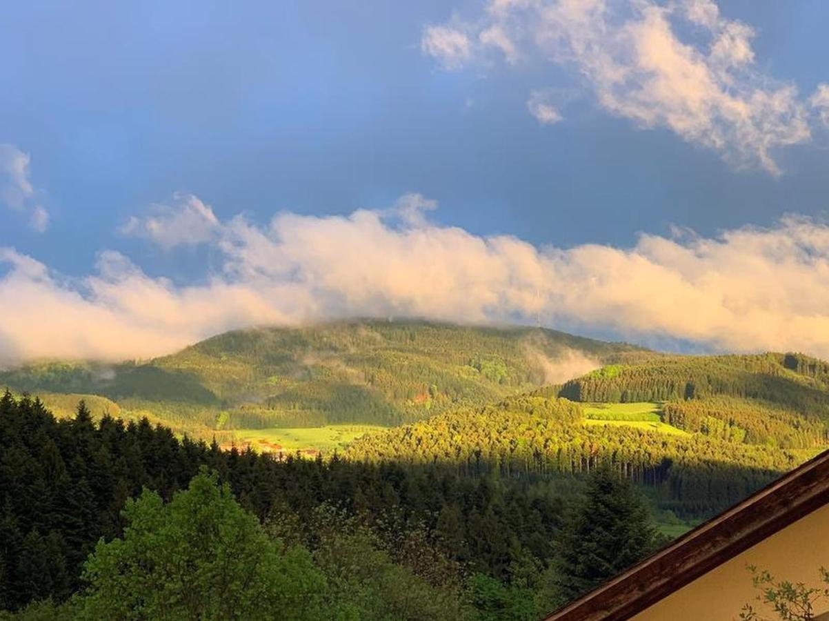 Black Forest Appartement - Brandenkopfblick Zell am Harmersbach Eksteriør billede
