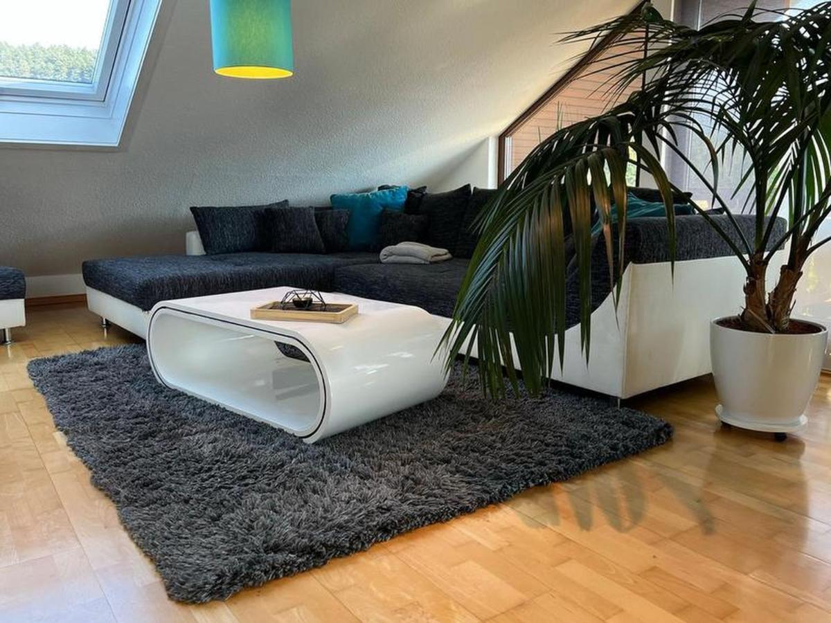 Black Forest Appartement - Brandenkopfblick Zell am Harmersbach Eksteriør billede
